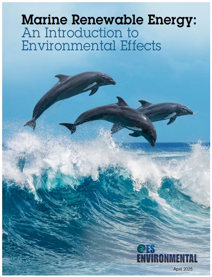 Brochure Cover Image. Click to download.