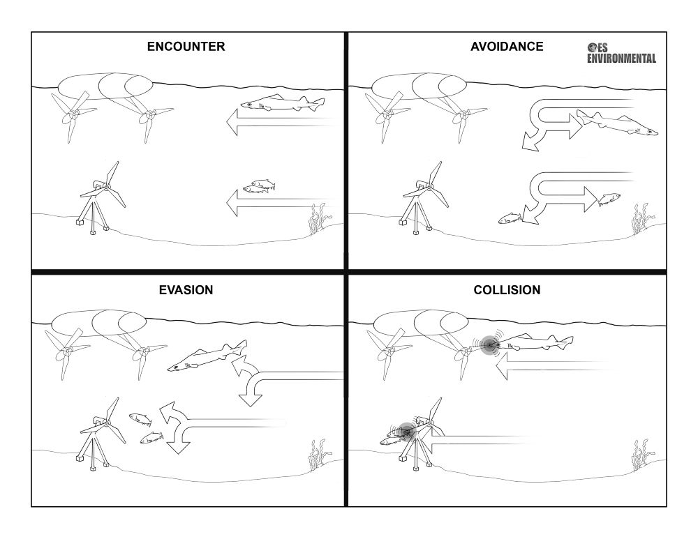 Collision Risk