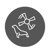 Collision Risk Icon