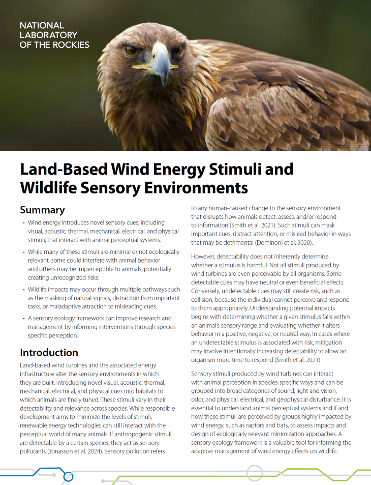 Land-Based Wind Energy Stimuli and Wildlife Sensory Environments