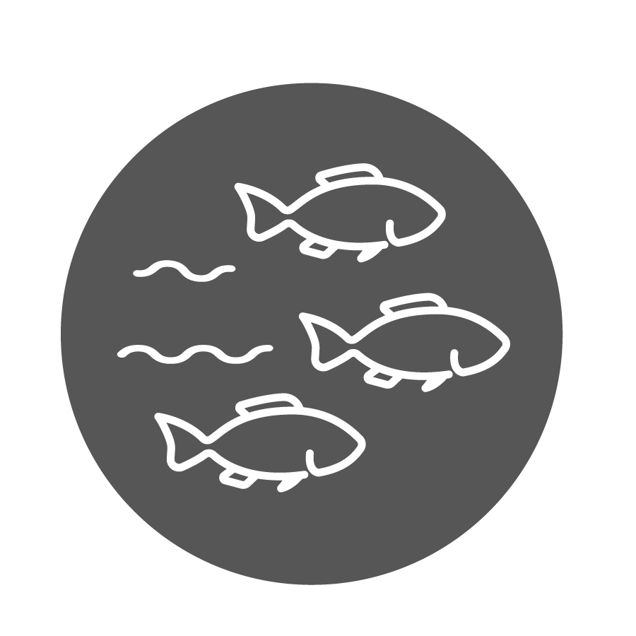 Displacement Icon