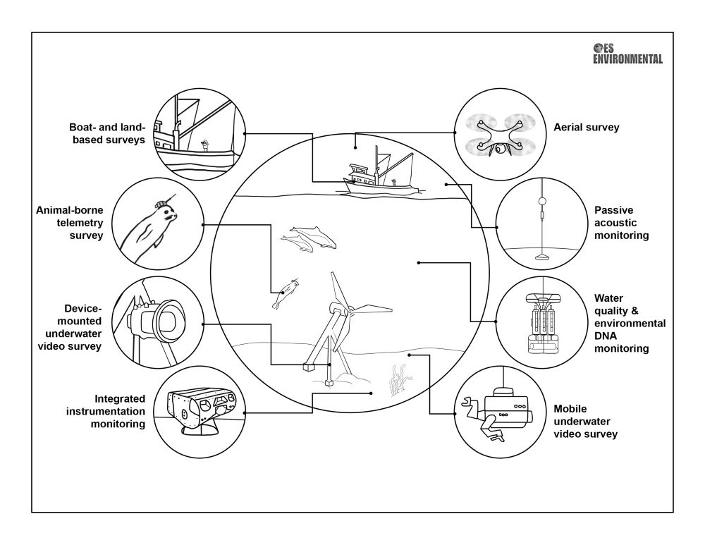 Environmental Monitoring