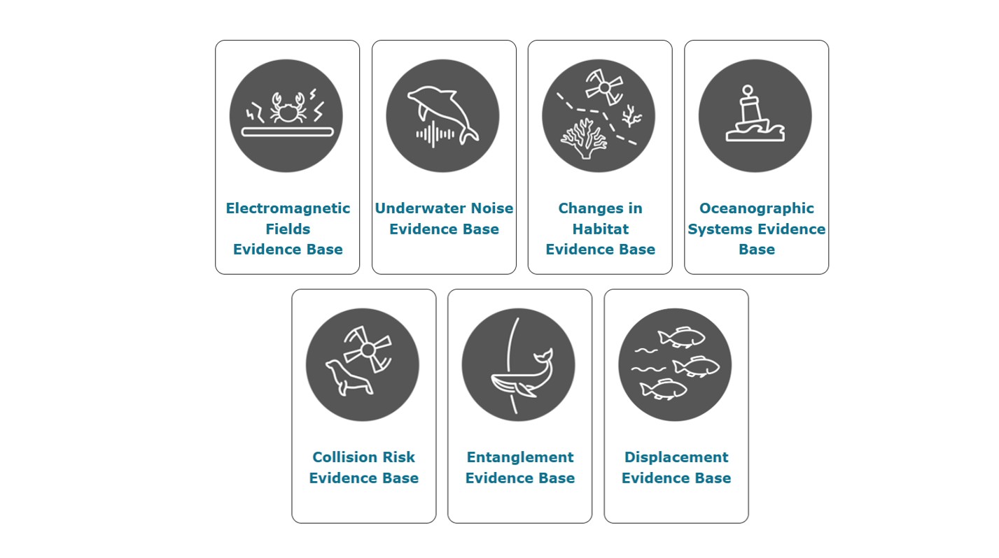 Evidence Bases Tiles