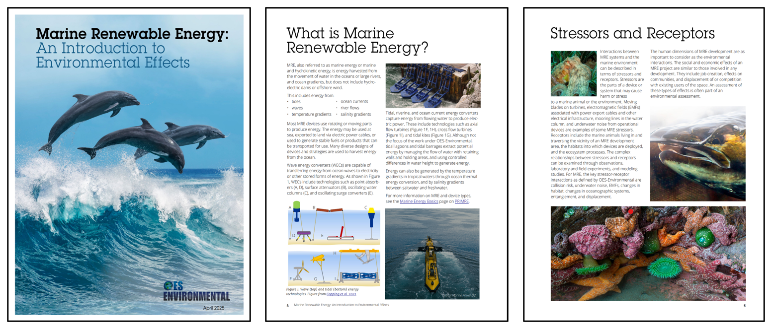Marine Renewable Energy: An Introduction to Environmental Effects