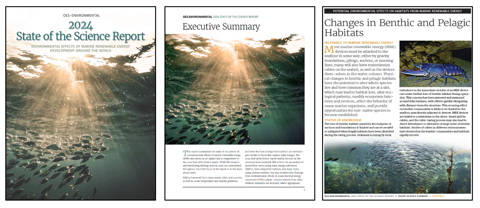  OES-Environmental 2024 State of the Science Report