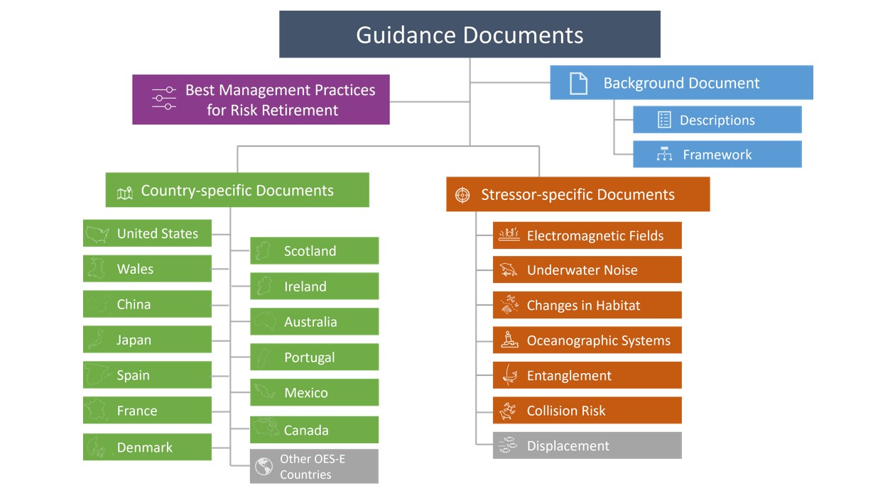 Guidance Documents