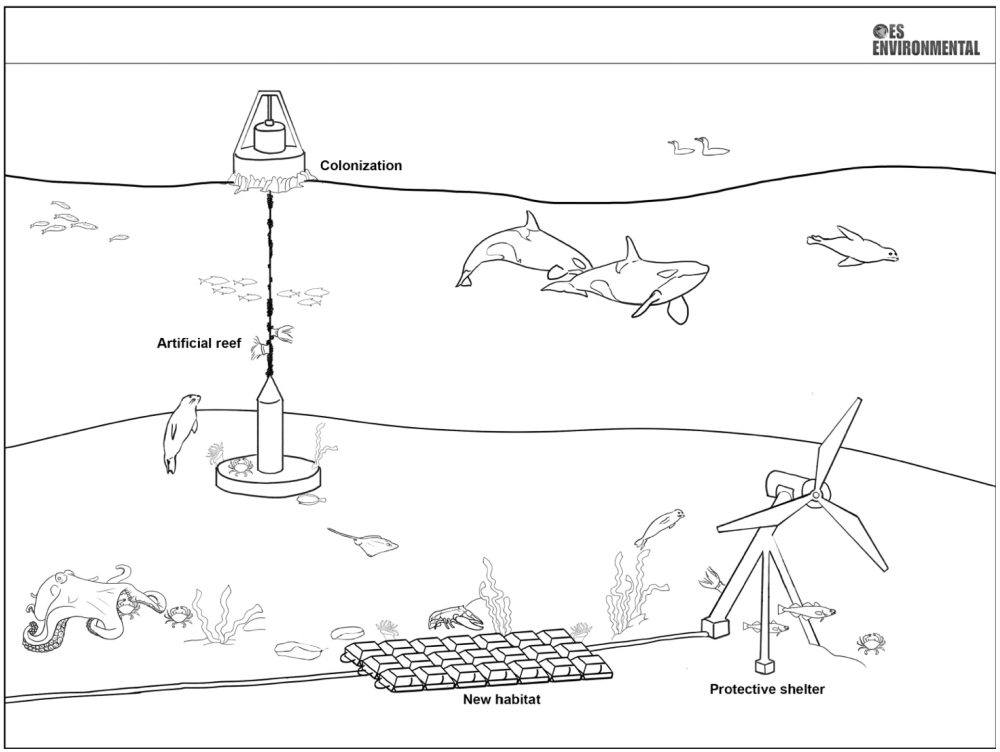 Habitat Change