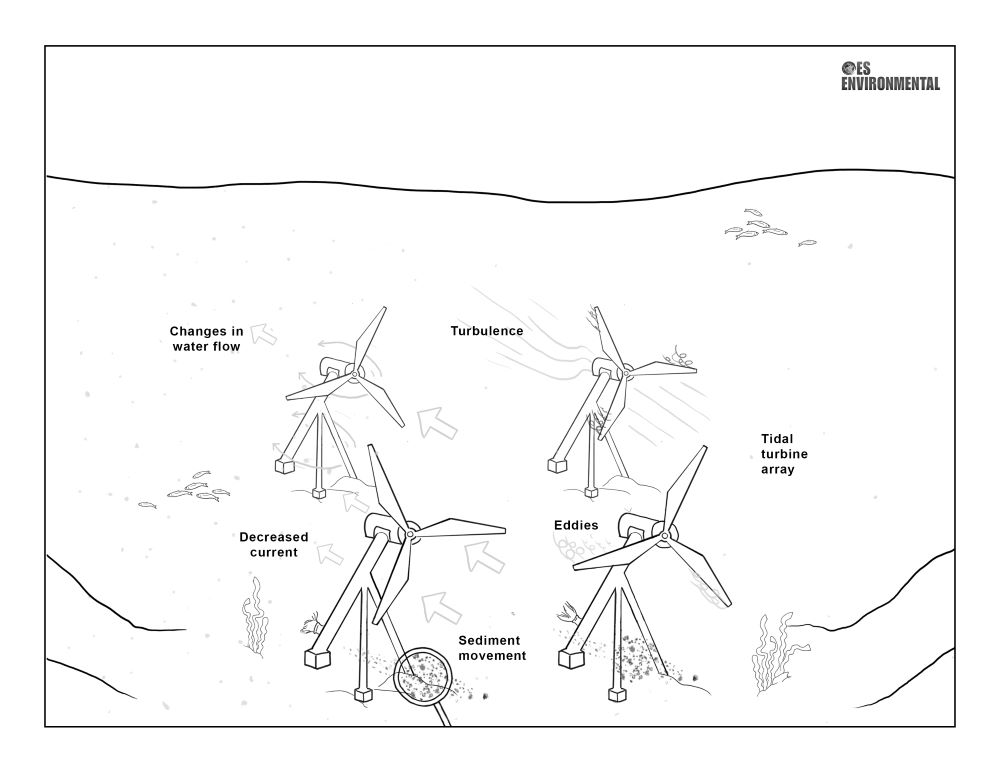 Oceanographic Systems - Tidal