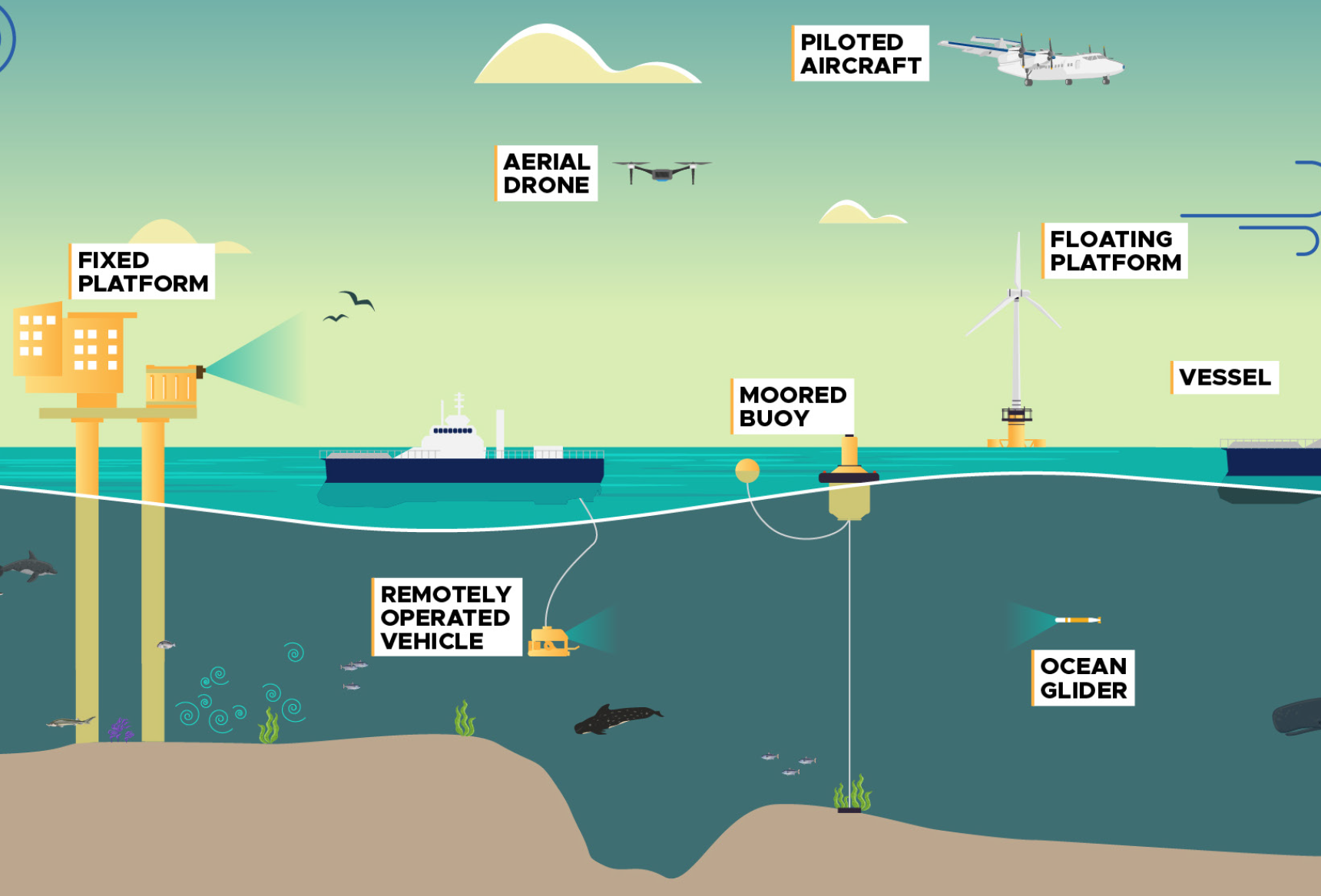 Offshore Environmental Monitoring with Sensors