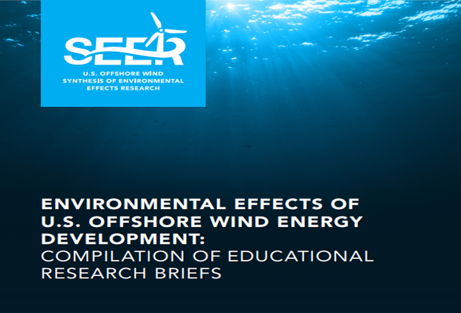 U.S. Offshore Wind (SEER) Research Briefs