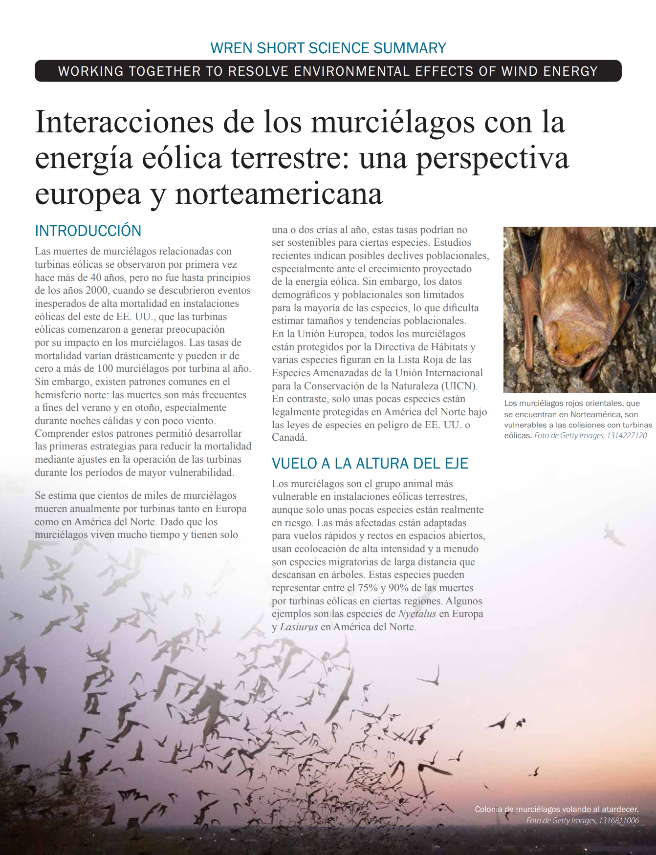 Interacciones de los murciélagos con la energía eólica terrestre: una perspectiva europea y norteamericana