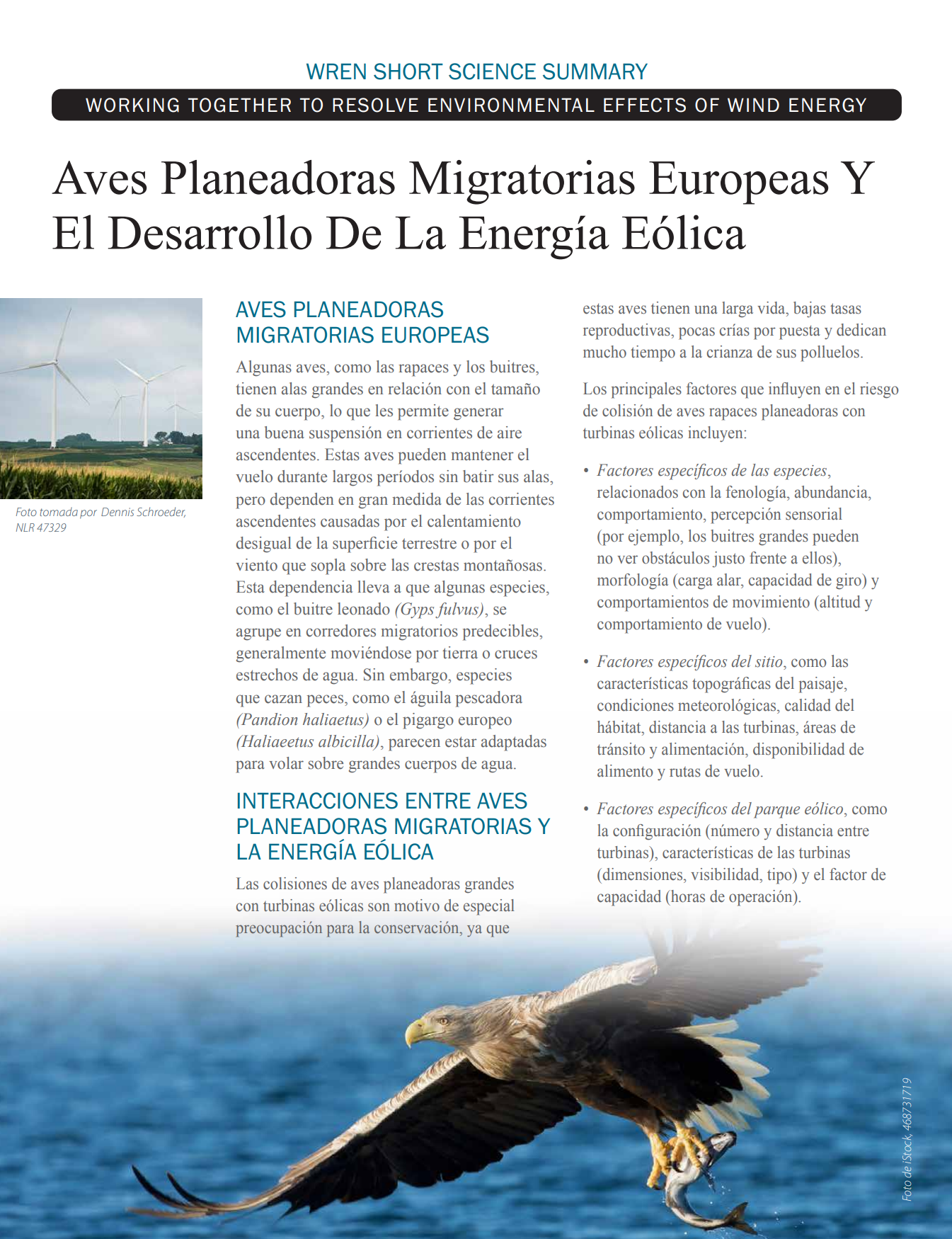 Aves Planeadoras Migratorias Europeas Y El Desarrollo De La Energía Eólica