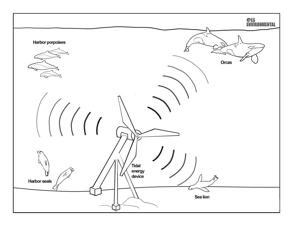 Underwater Noise