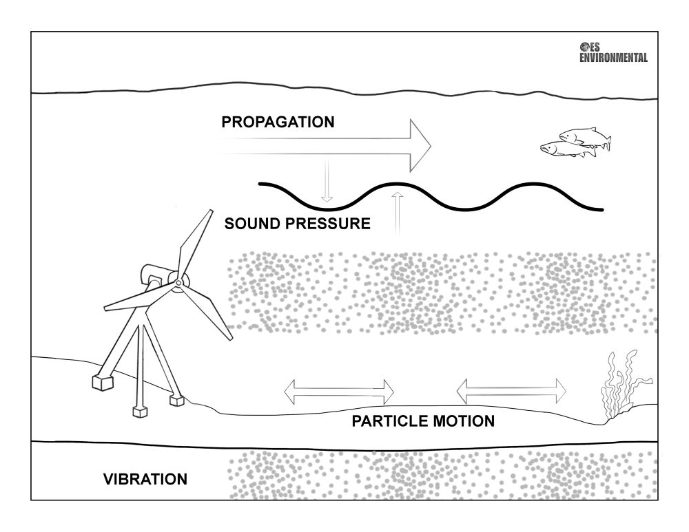 Underwater Noise