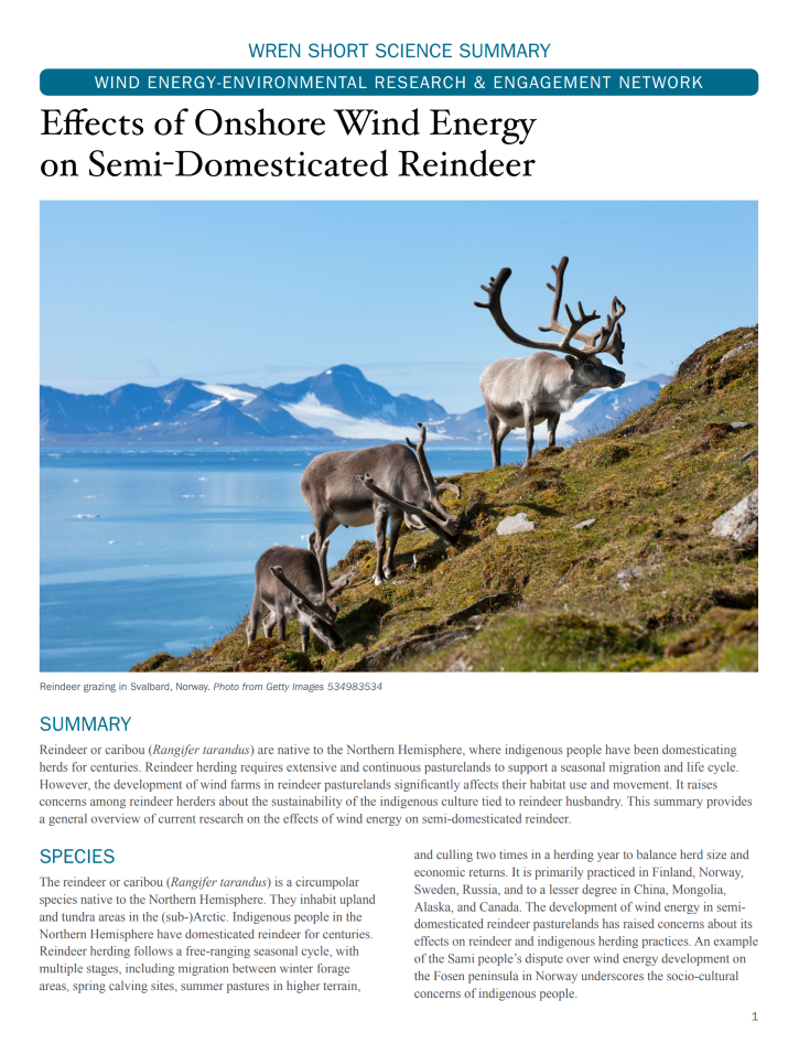 Effects of Onshore Wind Energy on Semi-Domesticated Reindeer