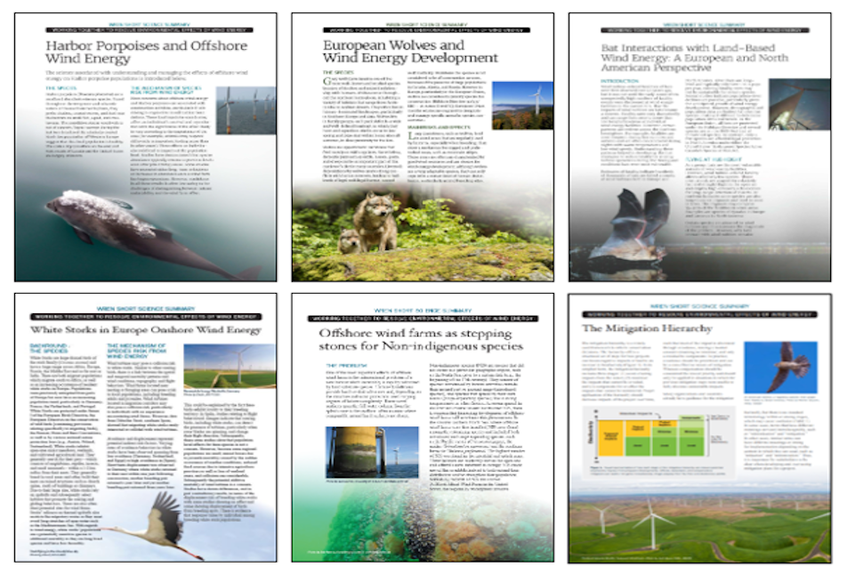 International Wind (WREN) Short Science Summaries