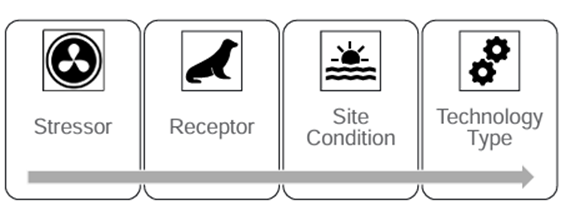 Stressor - Receptor - Site Condition - Technology Type with arrow from left to right