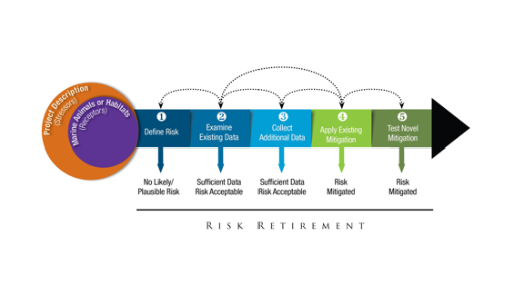 Risk Retirement