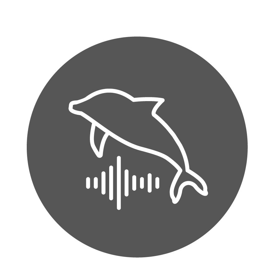 Underwater Noise Icon