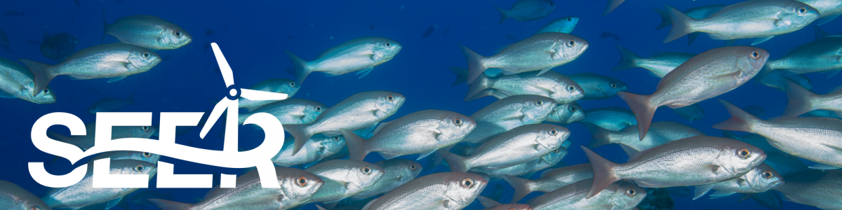 Introduction of New Offshore Wind Farm Structures: Effects on Fish Ecology