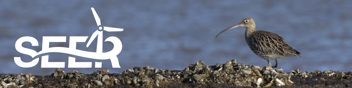 SEER Logo over an image of a bird