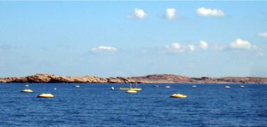 Lysekil Site during summer of 2008