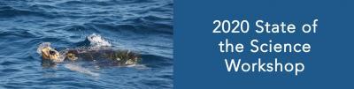 State of the Science Workshop on Wildlife and Offshore Wind Energy 2020 Banner