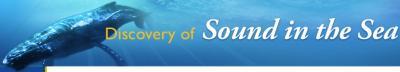 DOSITS Webinar Series Banner