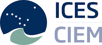 ICES Logo