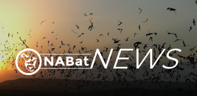NABat Summit