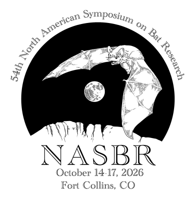 Conference information logo and flyer