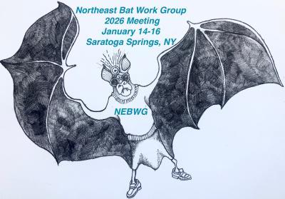 NEBWG Flyer