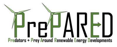 PrePARED Logo