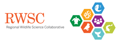 Webinar logo