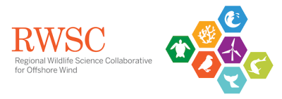 RWSC Webinar