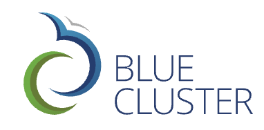 Blue Cluster Logo