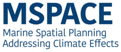 MSPACE Logo