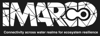 iMarCo Logo