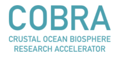 COBRA Logo