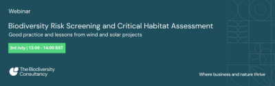 A flyer featuring information on the webinar.