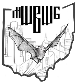 BatWorkingGroup