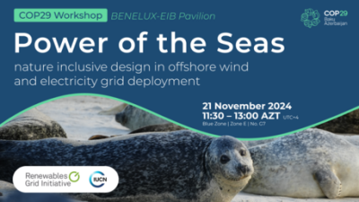 COP29 Power of the Seas