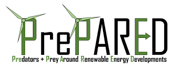 Project Logo