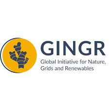 GINGR Logo