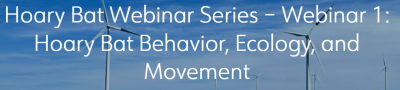 Hoary Bat Webinar 1