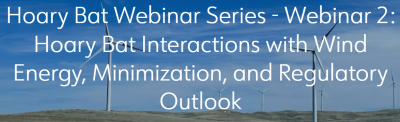 Hoary Bat Webinar 2