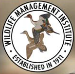 wmi