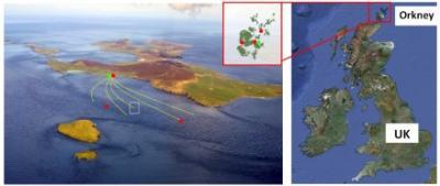 Maps of EMEC Fall of Warness Grid-Connected Tidal Test Site