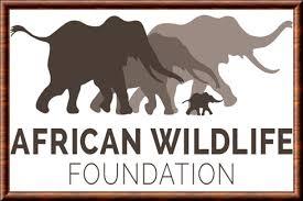 African Wildlife Foundation | Tethys