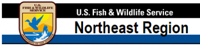 Northeast Ecological Services logo